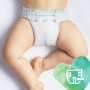 Pampers Pure Protection velikost 5, od 11+ kg plenkové kalhotky 24 kusů
