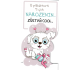 Nekupto Přání k narozeninám Zůstaň COOL pejsek 116 x 220 mm 3493 K