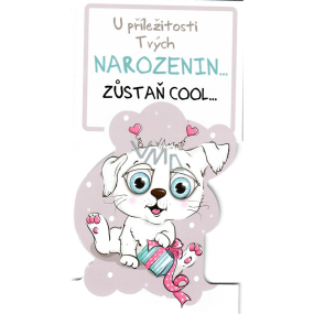 Nekupto Přání k narozeninám Zůstaň COOL pejsek 116 x 220 mm 3493 K