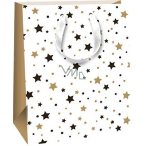 Ditipo Dárková papírová taška 18 x 22,7 x 10 cm Glitter - černé a zlaté hvězdičky