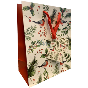 Ditipo Dárková papírová taška 22,5 x 17,5 x 10 cm Vánoční ptáčci, cesmína