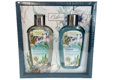 Bohemia Gifts Mrtvé moře relaxační sprchový gel 250 ml + jemný šampon na vlasy 250 ml, kosmetická sada