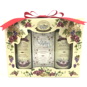 Bohemia Gifts Wine Spa Vinná kosmetika sprchový gel 100 ml + Toaletní mýdlo 100 g + šampon na vlasy 100 ml