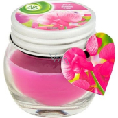 Air Wick Růžové květy středomoří vonná svíčka sklo mini 30 g