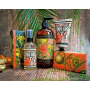 English Soap Bergamot & Zázvor tekuté mýdlo dávkovač 500 ml