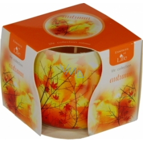 Essences of Life Podzim aromatická svíčka ve skle 100 g