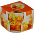 Essences of Life Podzim aromatická svíčka ve skle 100 g