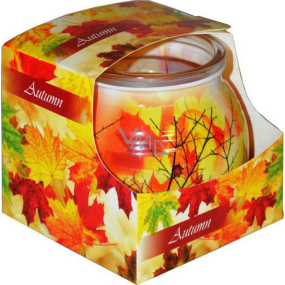 Admit Autumn - Podzim dekorativní aromatická svíčka ve skle 80 g