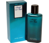 Davidoff Cool Water Men voda po holení 75 ml