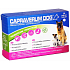 Capraverum Dog Probioticum - Prebioticum veterinární přípravek pro psy, při léčbě antibiotiky, po odčervení, při zažívacích potížích 30 tablet