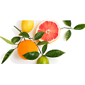 Millefiori Milano Icon Pompelmo - Grep vůně do auta Cuori & Fiori voní až 2 měsíce 47 g