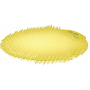 Fre Pro Slant Fresh Bloom vonné sítko do pisoáru transparentní 18 x 18 x 1,5 cm 81 g
