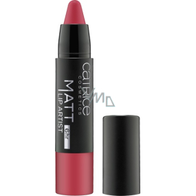 Catrice Matt Lip Artist 6hr rtěnka 030 Barberry Hopping 3 g