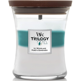 WoodWick Trilogy Icy Woodland - Ledový les vonná svíčka s dřevěným knotem a víčkem sklo střední 275 g
