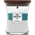 WoodWick Trilogy Icy Woodland - Ledový les vonná svíčka s dřevěným knotem a víčkem sklo střední 275 g