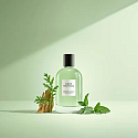 David Beckham Aromatic Greens parfémovaná voda pro muže 100 ml