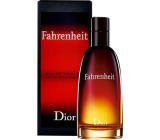 Christian Dior Fahrenheit toaletní voda pro muže 50 ml