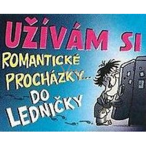 Nekupto Dárky s humorem Magnet ledničkový Užívám si romantické 9 x 6,5 cm