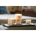 Yankee Candle Sweet Nectar Blossom - Sladký květinový nektar sojová vonná svíčka Elevation malá sklo 1 knot 96 g