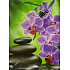 Nekupto Dárková papírová taška 23 x 18 x 10 cm Orchidej 1020 50 KFL