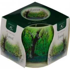 Essences of Life Forest aromatická svíčka ve skle 100 g