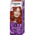 Schwarzkopf Palette Intensive Color Creme, barva na vlasy, RV6 šarlatově červená, 50 ml