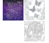 Ditipo Mystical Colouring for Adult relaxační omalovánky pro dospělé 36 stran 300 x 300 mm