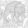 Ditipo Mystical Colouring for Adult relaxační omalovánky pro dospělé 36 stran 300 x 300 mm