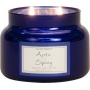 Village Candle Příslib jara - Arctic Spring vonná svíčka ve skle 2 knoty 262 g