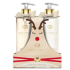 Grace Cole Toasted Praline & Snowberies tekuté mýdlo dávkovač 500 ml + mléko na ruce dávkoač 500 ml, kosmetická sada