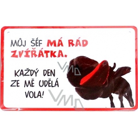 Nekupto Humor po Česku humorná cedulka 15 x 10 cm 1 kus