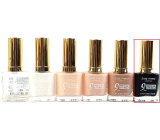 Moje lak na nehty kolekce B02 9 efecto gel č.009   4847