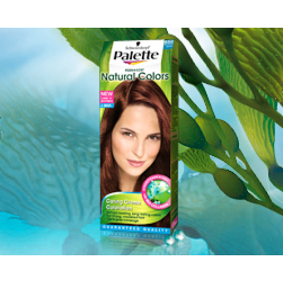 Schwarzkopf Palette Permanent Natural Colors barva na vlasy 650 oříškově hnědý