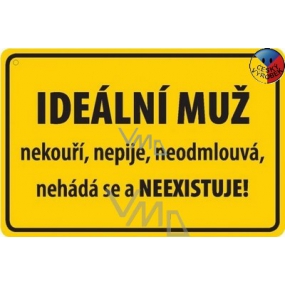 Nekupto Humorná cedulka Ideální muž 15x10 cm 1 kus