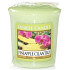 Yankee Candle Pineapple Cilantro - Ananas s kardamonem vonná svíčka votivní 49 g