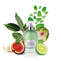 Laura Biagiotti Aqve Romane Divinium Ficus toaletní voda pro ženy 100 ml
