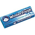 Wrigleys Winterfresh Polar Ice žvýkačka dražé 10 kusů