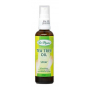 Dr. Popov Tea Tree Oil k dezinfekci rukou i nohou k regeneraci chodidel sprej 50 ml