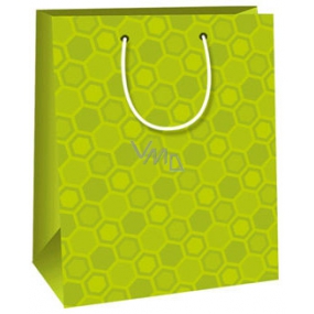 Ditipo Dárková papírová taška 18 x 10 x 22,7 cm světle zelená