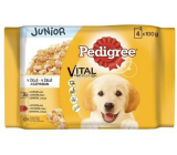 Pedigree Vital Protection Junior s kuřecím masem a rýží, s krůtím masem a rýží v želé kapsička 4 x 100 g