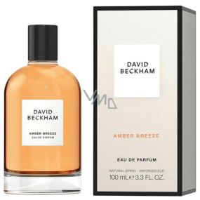 David Beckham Amber Breeze parfémová voda pro muže 100 ml