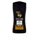 Axe Gold Temptation sprchový gel pro muže 250 ml