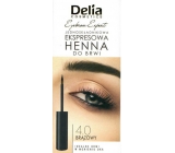 Delia Cosmetics Instant Eyebrown Tint barva na obočí 4.0 hnědá 6 ml