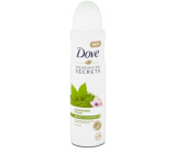 Dove Nourishing Secrets Awakening Ritual Matcha Tea & Sakura - Zelený čaj a třešňový květ antiperspirant deodorant sprej s 48hodinovým účinkem pro ženy 150 ml