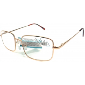 Berkeley Čtecí dioptrické brýle +2,0 zlaté kov MC2 1 kus ER5050