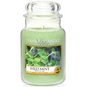 Yankee Candle Wild Mint - Divoká máta vonná svíčka Classic velká sklo 623 g