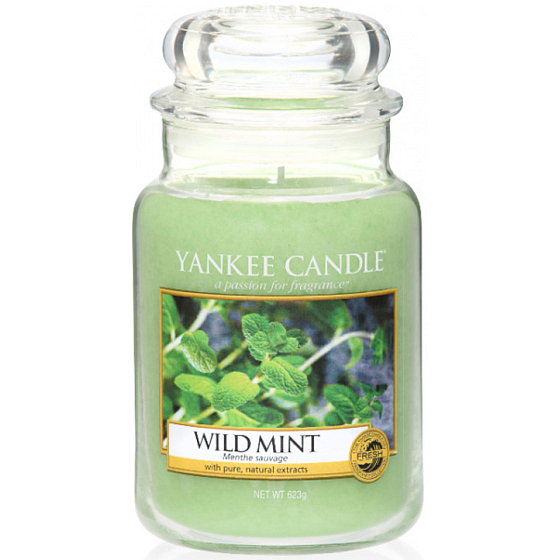 Yankee Candle Wild Mint - Divoká máta vonná svíčka Classic velká sklo 623 g
