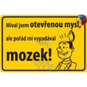Nekupto Humorná cedulka Míval jsem otevřenou mysl 15x10 cm 1 kus