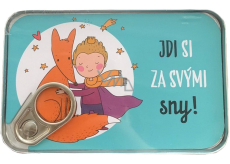 Albi Plechová kapsa na peníze Jdi si za svými sny! 11 x 7 cm