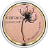 Catrice Glow Patrol Glowy Highlighter rozjasňovač C02 Aphrodite 8,5 g